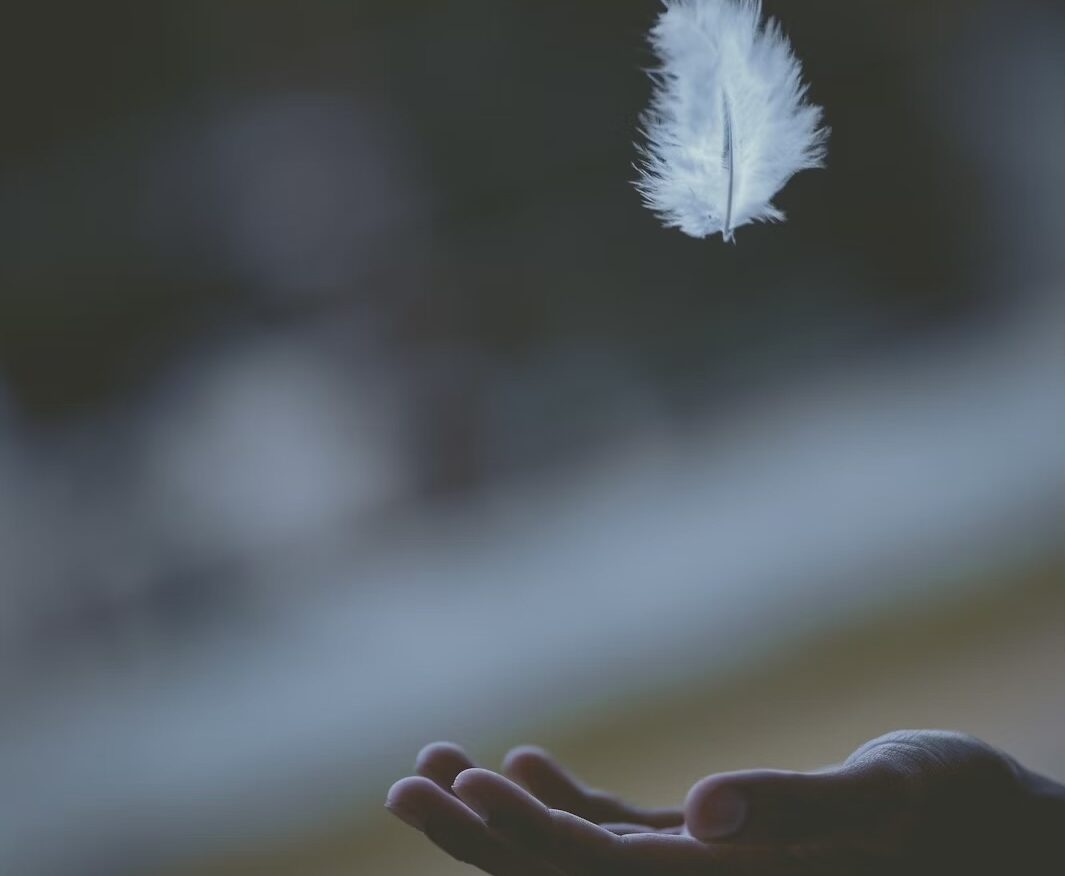 feather falling into a hand